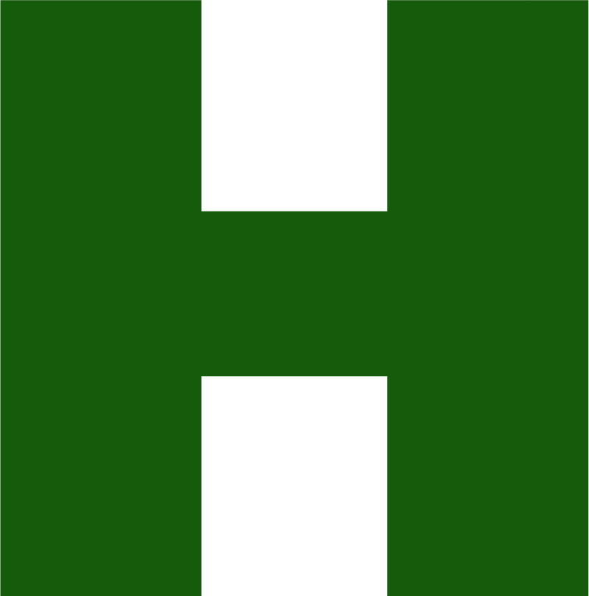 Hozt Logo